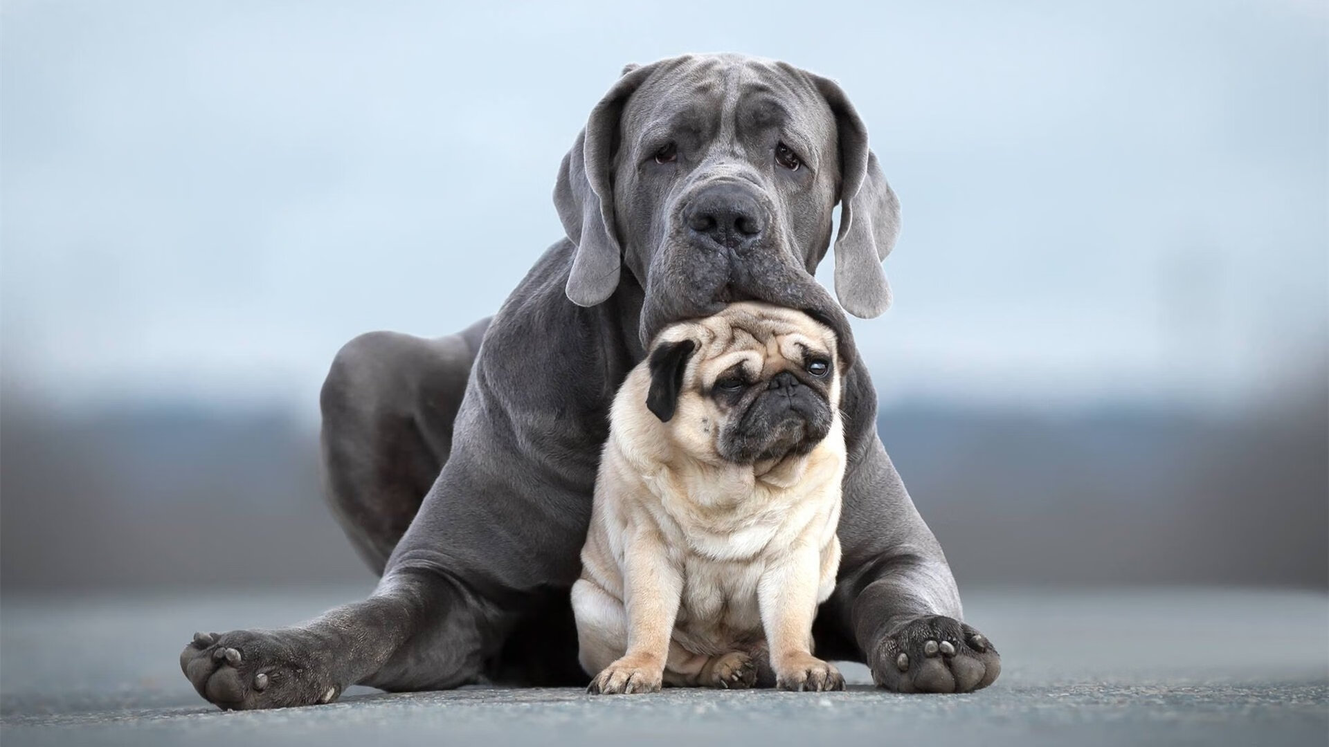 马克·阿特金森:凭借出色的速度,南非队成功突破对方防线,阿特马里克